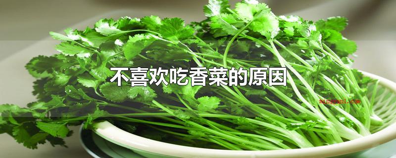 不喜欢吃香菜的原因（香菜有似偏碱的香皂味,从而排斥香菜）