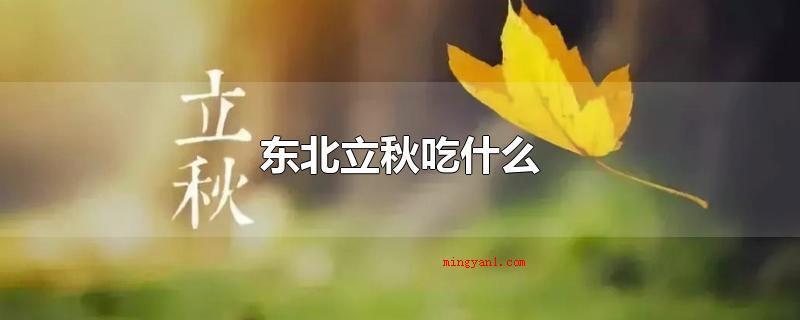 东北立秋吃什么(东北地区立秋通常都吃饺子或肉包子)
