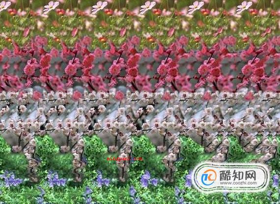 如何看三维立体图 3D图片应该怎么看（三维立体图操作步骤,你知道吗?）