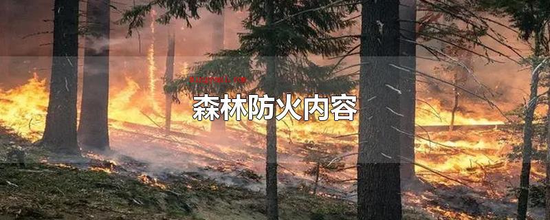 森林防火内容(森林防火十个)