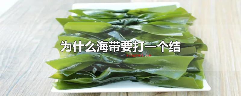 为什么海带要打一个结(海带成本费便宜,营养丰富)