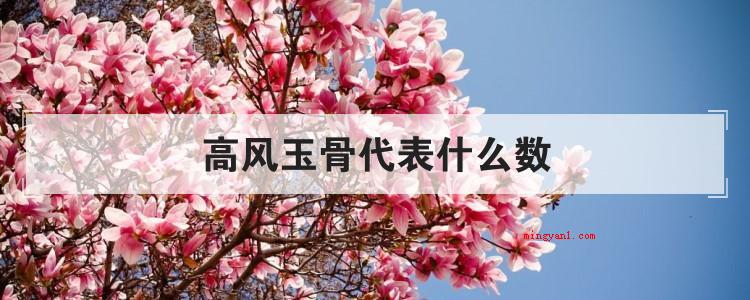 高风玉骨代表什么数(简略回应最先高风玉骨这一词的意思是高尚的风操,很有骨气、有骨)