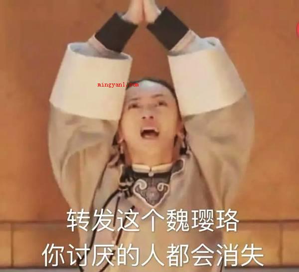 “转发这个魏璎珞”意思出处含义介绍是什么梗（转发这一魏璎珞表情包图片全集 Get到演艺圈）