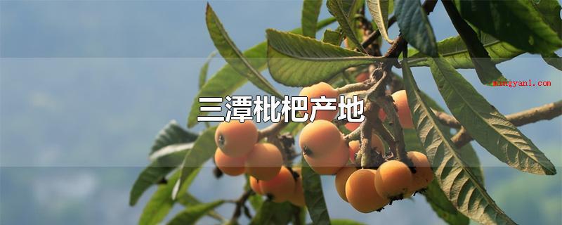 三潭枇杷产地(三潭枇杷,安徽歙县特色产品,国家地理标志)