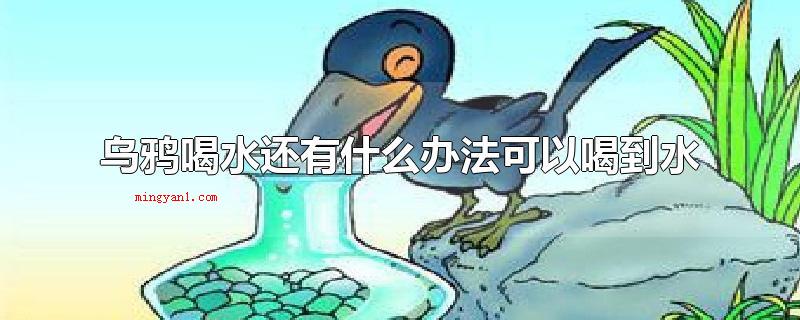 乌鸦喝水还有什么办法可以喝到水（乌鸦喝水可以喝到水的方法有没有什么）
