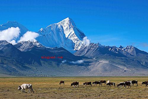 喜马拉雅山在哪(简略回应喜马拉雅山脉蒙古语意为“雪的家乡”)
