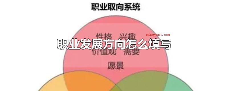职业发展方向怎么填写(职业发展方向,即本人对职业的整体规划有什么,关键从自身对这一)