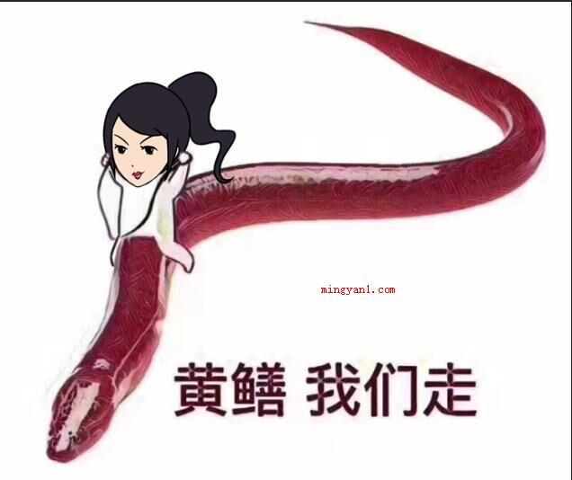 麻椒直播是什么意思(网上有句话叫做脑残千万,直播占一半,纯吃饭纯聊天的简直不能更)