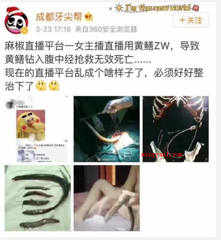 麻椒直播是什么意思(网上有句话叫做脑残千万,直播占一半,纯吃饭纯聊天的简直不能更)