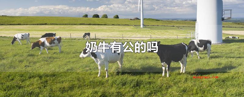 奶牛有公的吗(奶牛有公的吗_宠物频道)