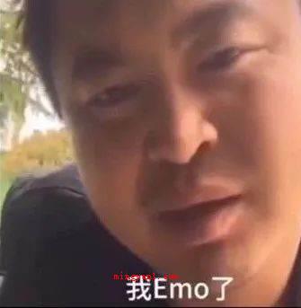 emo梗是什么意思?(网上中emo的含意为非主流女生,次之可以延展了解为)