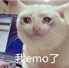 emo梗是什么意思?(网上中emo的含意为非主流女生,次之可以延展了解为)