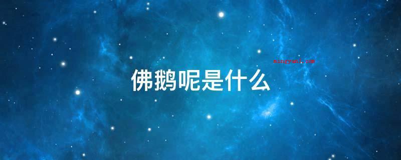 佛鹅呢是什么(世界最大的特许权药出口国,侨汇世界第一)