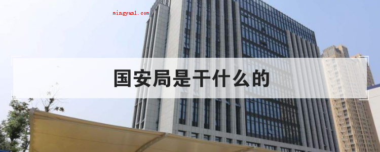 国安局是干什么的(简略回应国安局工作职责:中国政府的反间谍机关单位和政冶护卫机)