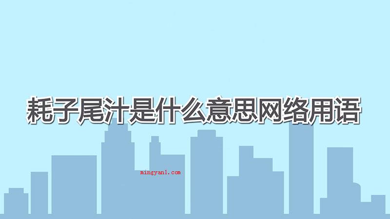 耗子尾汁是什么意思网络用语（耗子尾汁是成语）