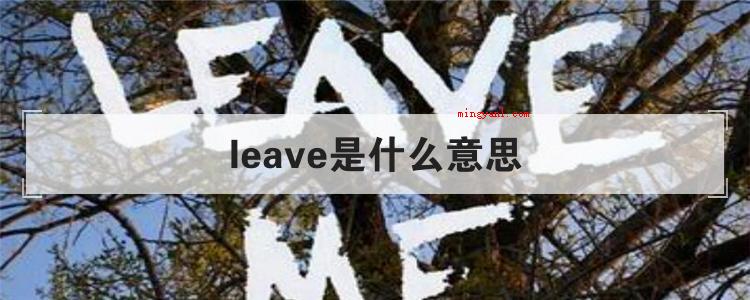 leave是什么意思(简略回应leave做为专有名词应用的情况下意思)
