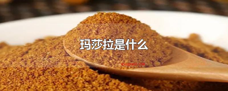 玛莎拉是什么（玛莎拉是一种印度的调味品,称为咖喱,英文名为）