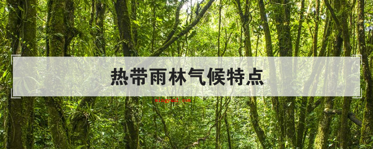 热带雨林气候特点(简略回应热带雨林气候特点)