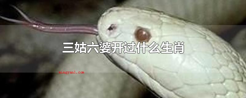 三姑六婆开过什么生肖(三姑六婆开过什么生肖_宠物频道)