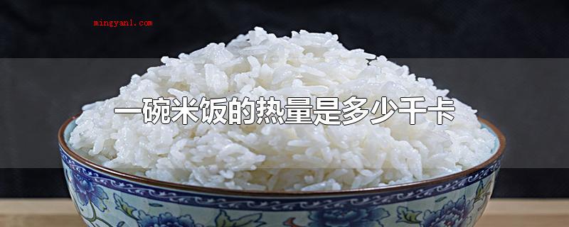 一碗米饭的热量是多少千卡(一碗(乐扣碗)米饭的热量多少钱)