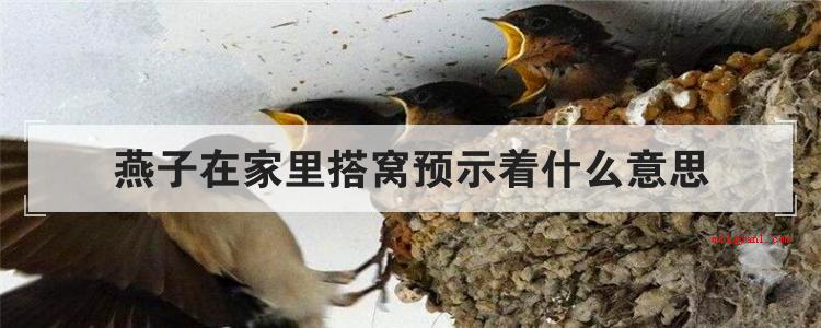 燕子在家里搭窝预示着什么意思(简略回应燕子在家里搭窝)
