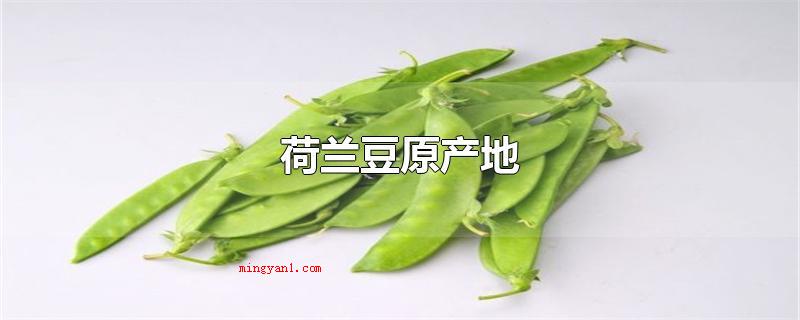 荷兰豆原产地（荷兰豆的原产地是地中海沿岸及中国中西部）