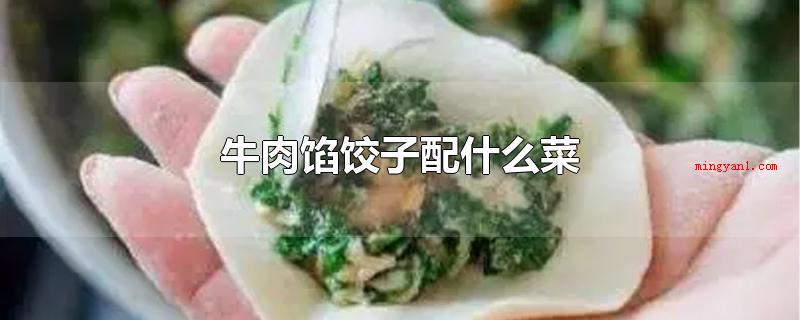 牛肉馅饺子配什么菜(牛肉馅水饺配什么食物 口味更好)