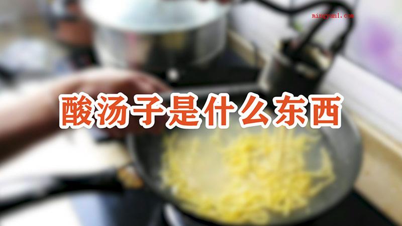 酸汤子是什么东西（什么叫酸汤子 ）