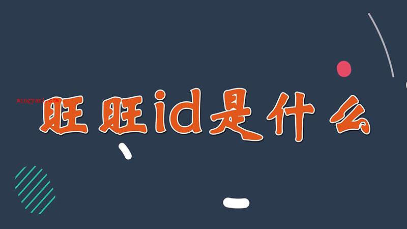 旺旺id是什么（旺旺id指的是淘宝网的账户id）