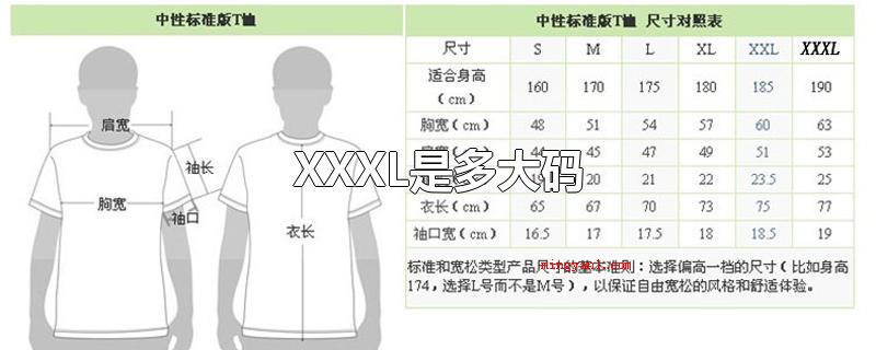 XXXL是多大码(XXL是多加大码)