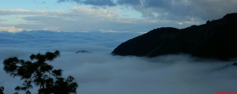 哀牢山为什么叫哀牢山(哀牢山为全球同层面生物多元化、同种类植物种类保存最完全的地域)