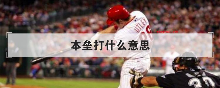 本垒打什么意思(篮球战术或是一种棒球游戏标准)