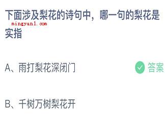 大熊猫爱吃的竹子实际上是什么蚂蚁庄园 12月12日小课堂答案 大熊猫爱吃的竹子实际上是什么蚂蚁庄园(大熊猫爱吃的竹子实际上是哪些)