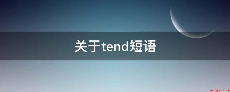 关于tend短语（There tend to be）