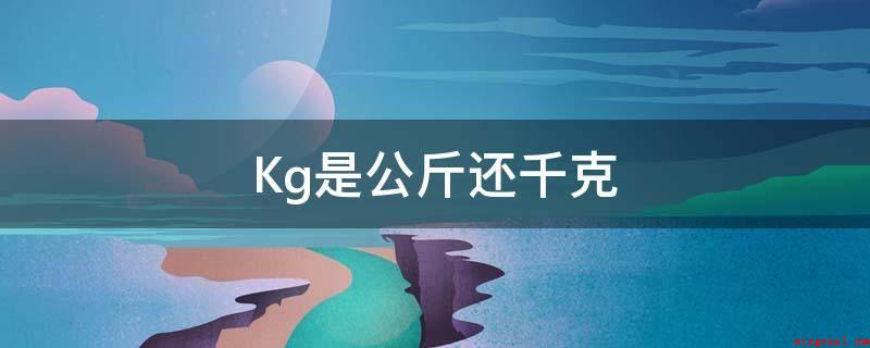 Kg是公斤还千克(Kg为国际单位制中衡量品质的基本单位)