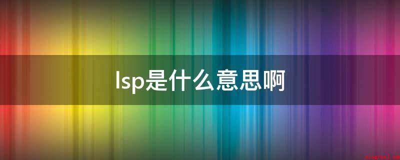 lsp是什么意思啊(分层服务提供者(英语:Layered Service Pro)