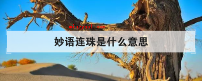 妙语连珠是什么意思(简略回应妙语连珠,源于路遥作品《平凡的世界》第二卷第54章,)