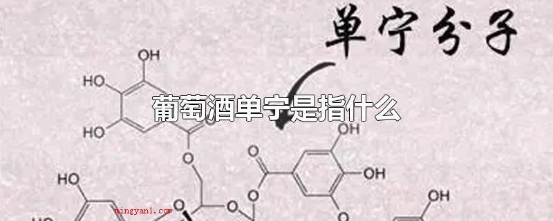 葡萄酒单宁是指什么(红酒单宁指的是一种酚类物质)