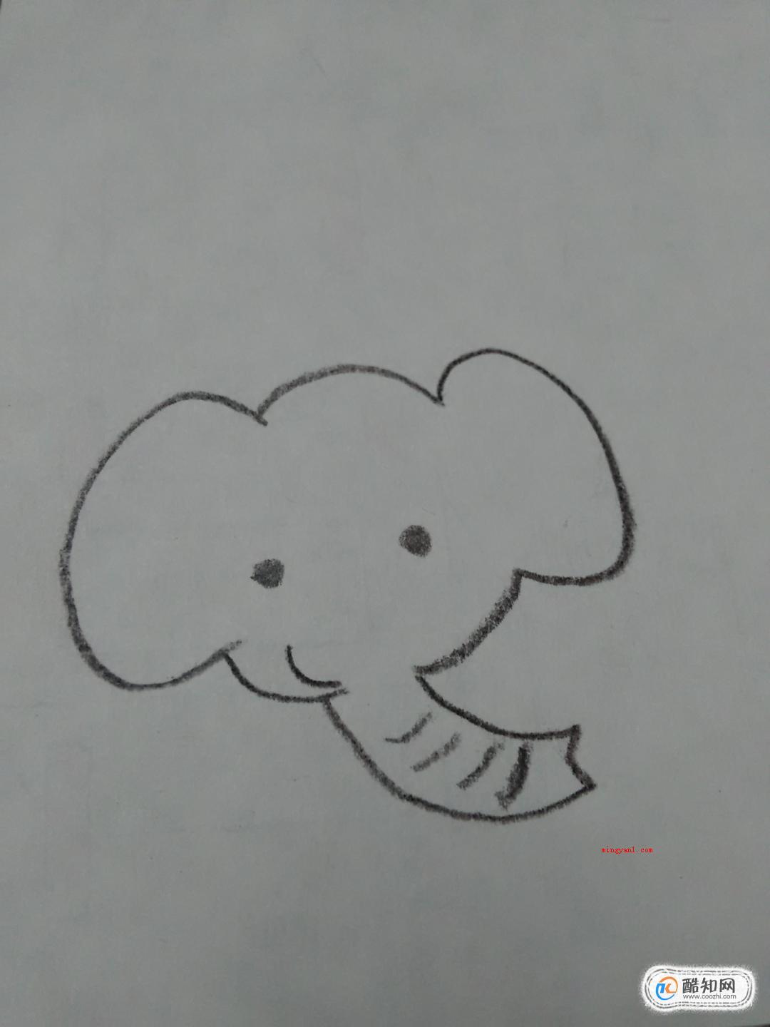 如何画大象简笔画步骤（数字画大象的头顶部、鼻部和人体）