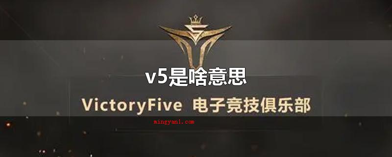 v5是啥意思(v5在不一样行业,代表什么意思)