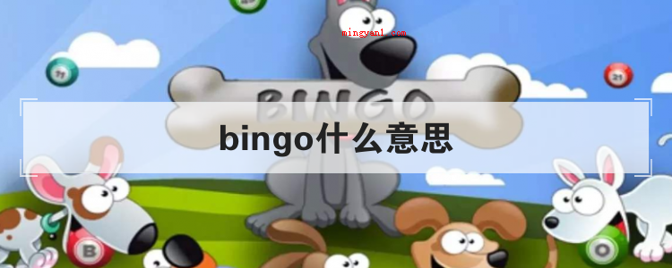 bingo什么意思(Bingo是一种填写格子的游戏)