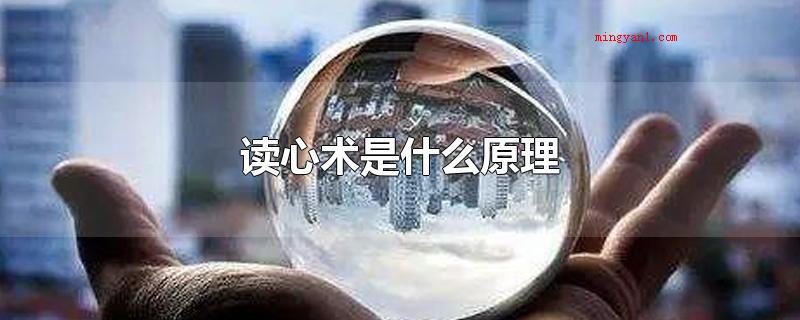 读心术是什么原理(微表情心理学知识中顶尖水准的人可以捕获仅保持了十分之一秒的微)