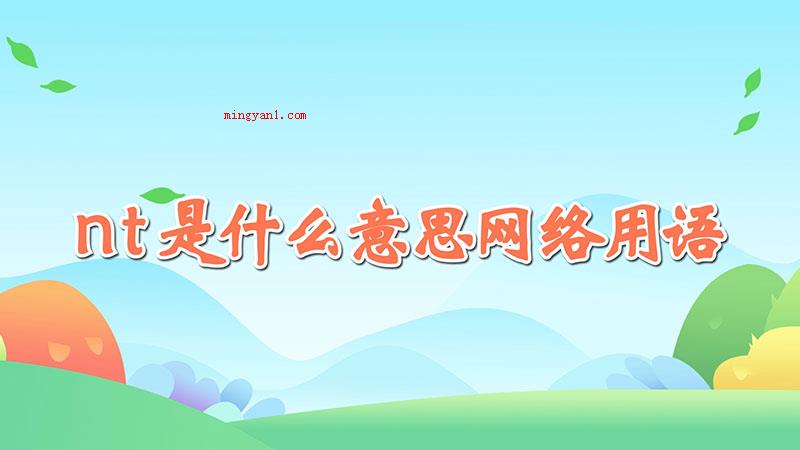 nt是什么意思网络用语（nt是词语）
