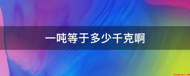 一吨等于多少千克啊(一吨等于1000Kg,Kg(标记kg)是国际单位制中衡量品质)