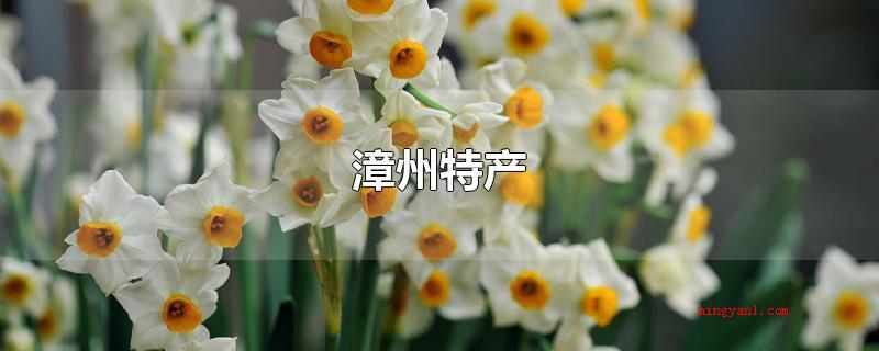 漳州特产(漳州特色产品有哪些?漳州芦柑怎么样?)