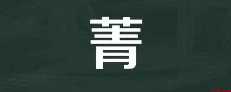 菁怎么读(指苋菜的花,引申特指别的花)