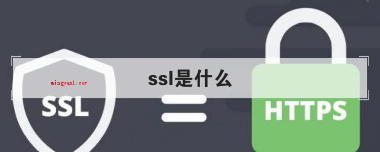 ssl是什么(简略回应SSL证书是数字证书的一种)