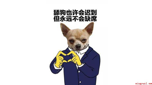 抖音舔狗是什么意思(抖音短视频舔狗含意、含义、来源介绍)