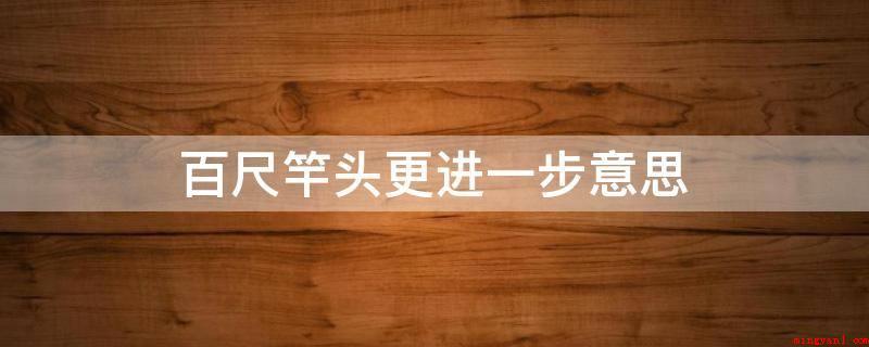 百尺竿头更进一步意思(百丈竿头奋发进取一步,未来不作三代下列人物)