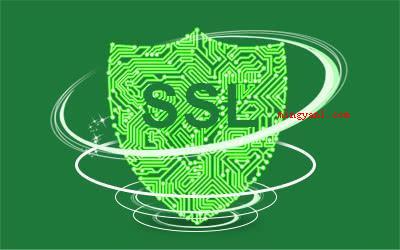 ssl是什么(简略回应SSL证书是数字证书的一种)
